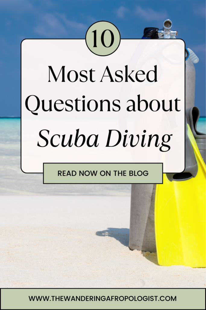 10 Common Questions New Divers Have about Scuba Diving The Wandering