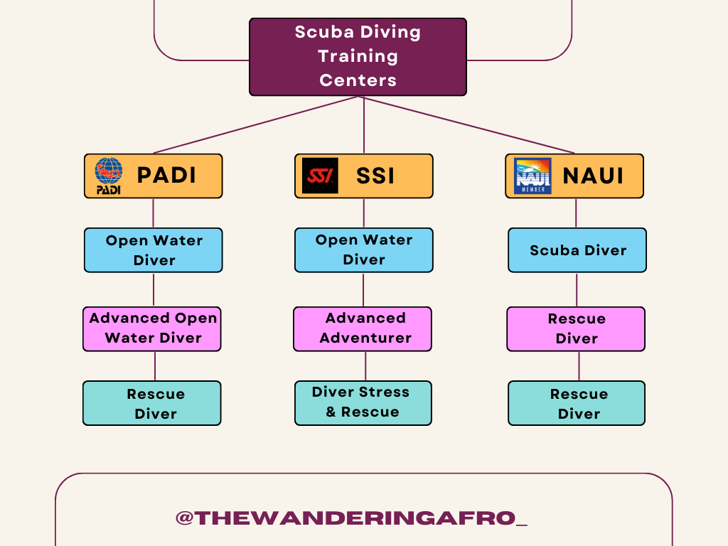 Scuba Diving Certification chart shows the different certification levels from PADI, SSI, and NAUI training agencies