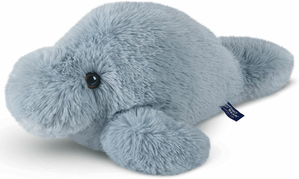 Adopt a Manatee: Top 5 Programs - The Wandering Afro:Travel Blogger