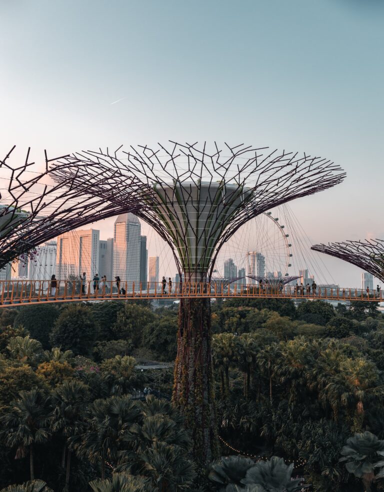 Free Singapore Layover Tour: Is it Worth it? Jewel Changi Airport