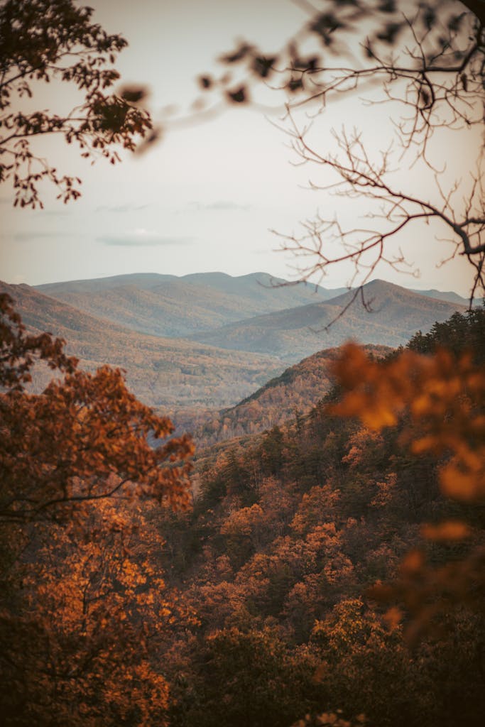 A view of the mountains in autumn