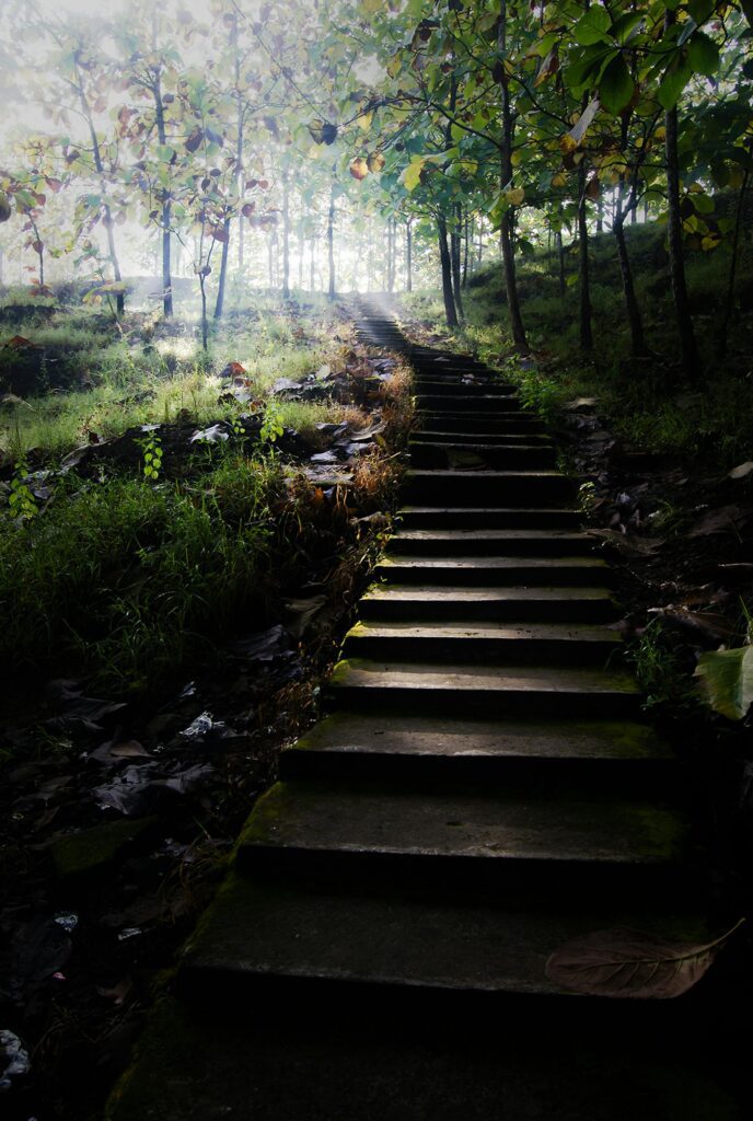 stair in on a hiking trail