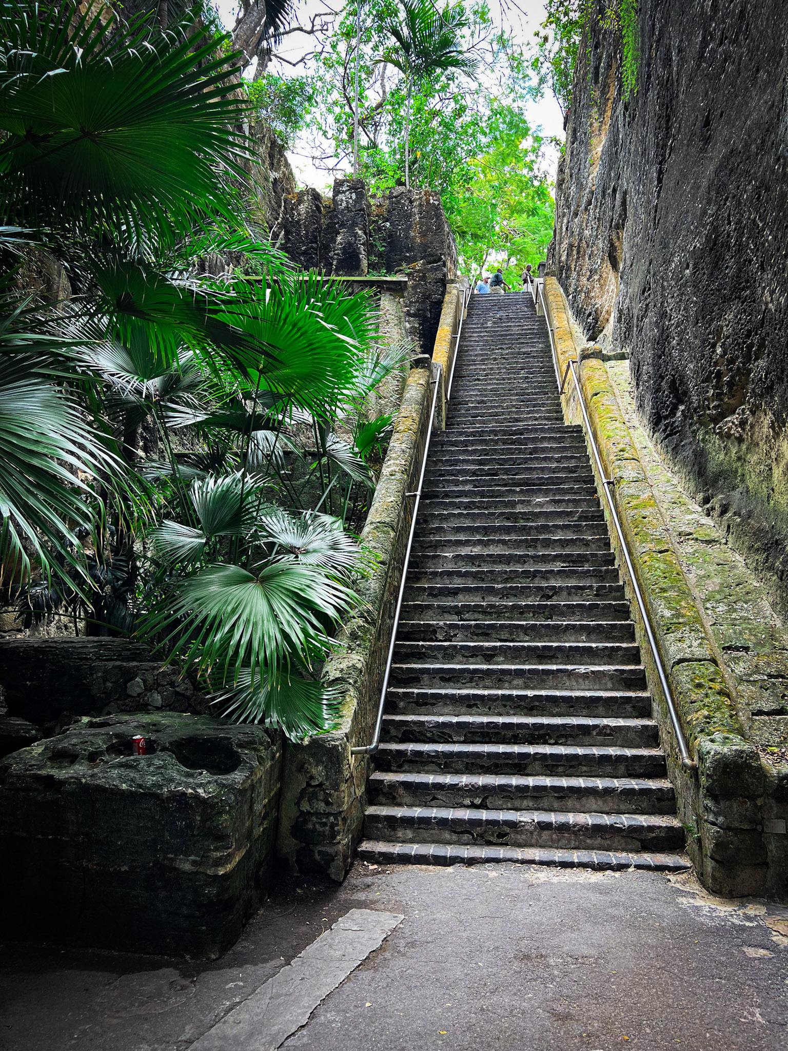 65 or 66 limestone stairs in a valley surrounded by lush tropical plants