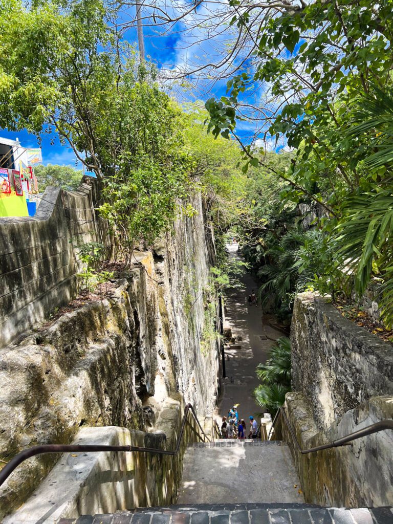 top view of the Queen Staircase in Nassau. Limestone stairs surrounded by tropical vegetation 