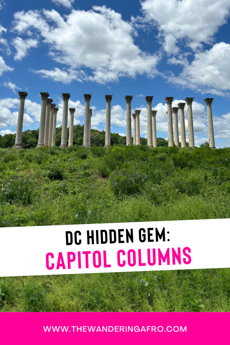 Hidden Gems in DC National Capitol Columns The Wandering AfroTravel