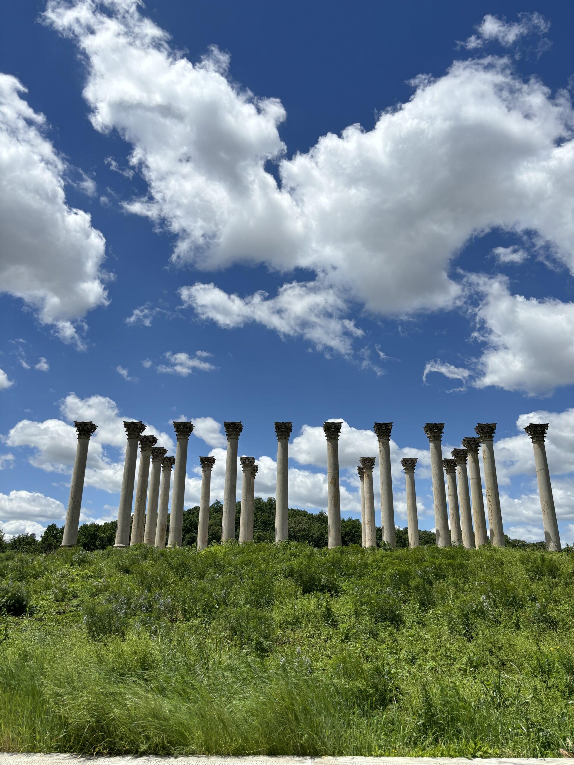 the DC National Columns on top of a grassy hill. There's about 4 rows of 10 columns